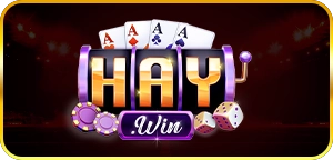 icon_logo_haywin