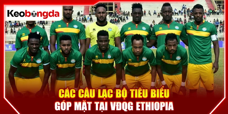 Các câu lạc bộ tiêu biểu góp mặt tại VĐQG Ethiopia