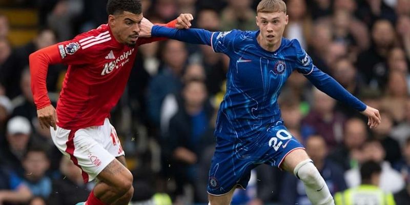 Soi kèo Chelsea vs Nottingham Forest đều chơi tốt